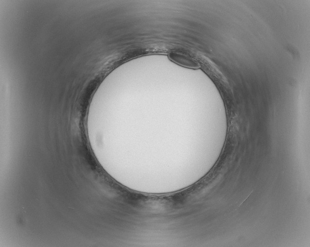 X0000115840209200912111340