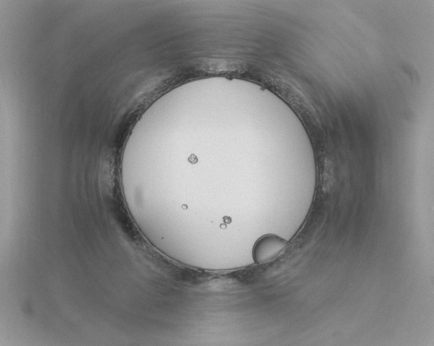 X0000115840210200912111340