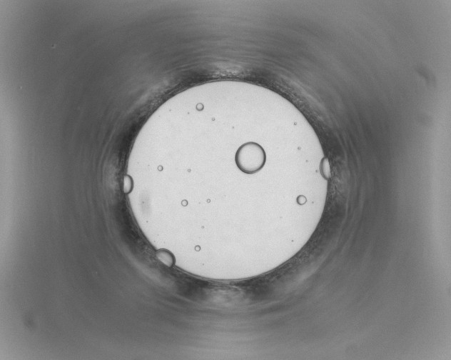 X0000115840215200912111340