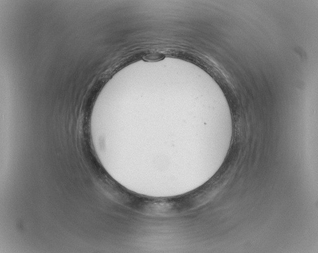 X0000115840217200912111340