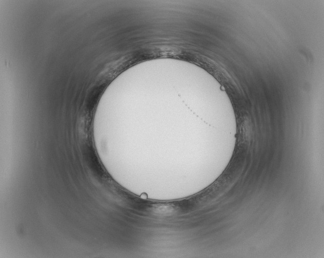 X0000115840218200912111340