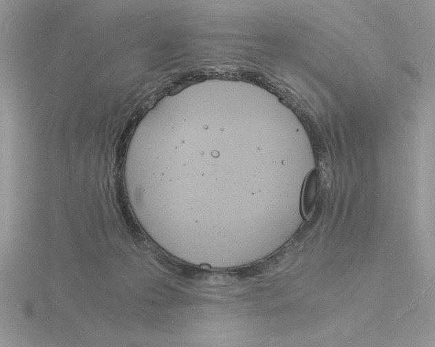 X0000115840223200912111340