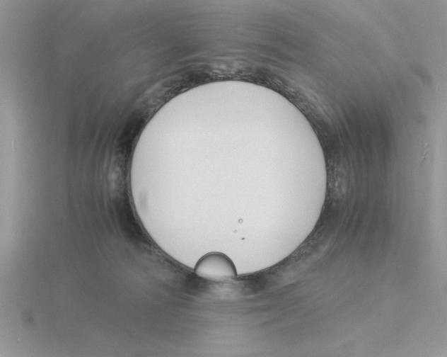 X0000115840226200912111339