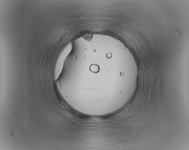 X0000115840227200912111339