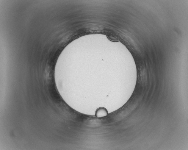 X0000115840228200912111339