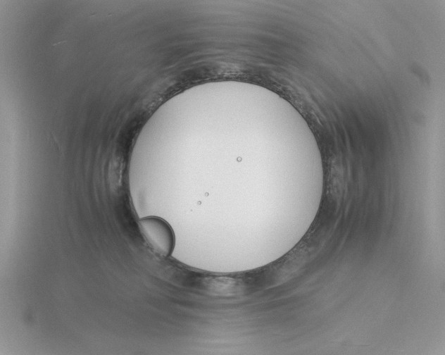 X0000115840230200912111339