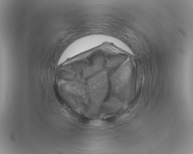 X0000115840231200912111339