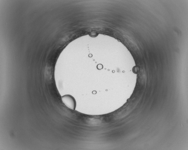 X0000115840232200912111339