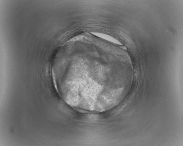 X0000115840233200912111339