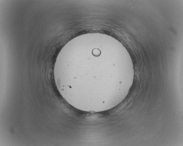 X0000115840235200912111339