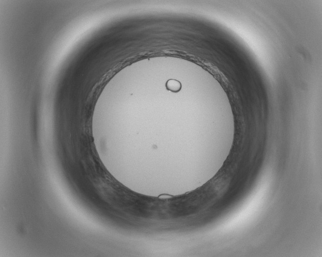 X0000115840239200912111339