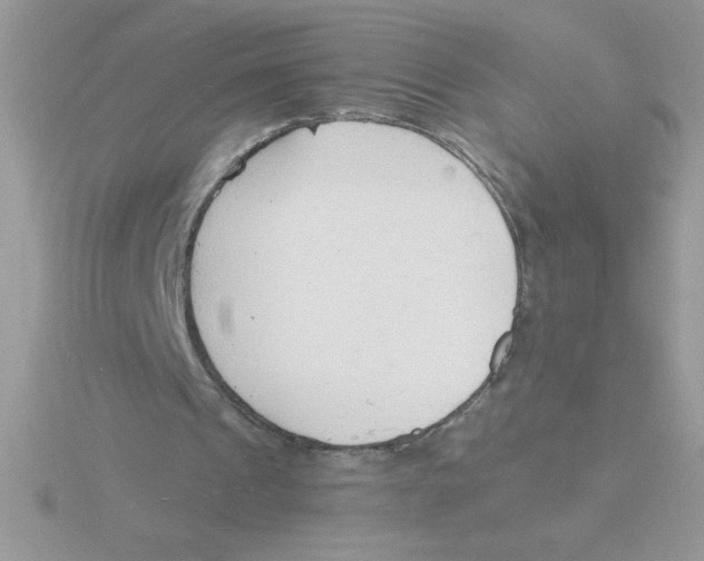 X0000115840241200912111339