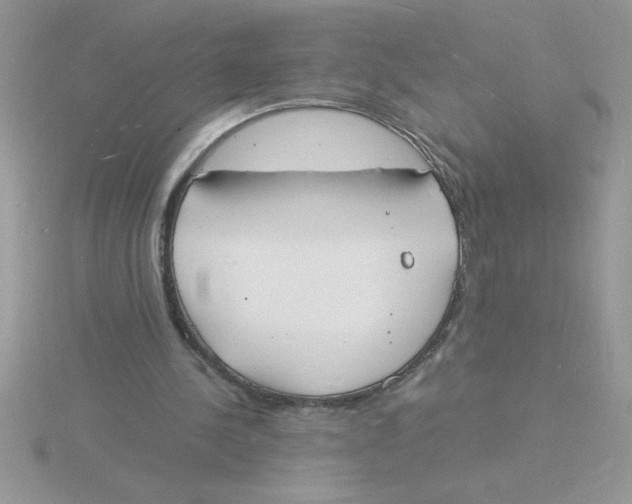 X0000115840244200912111339