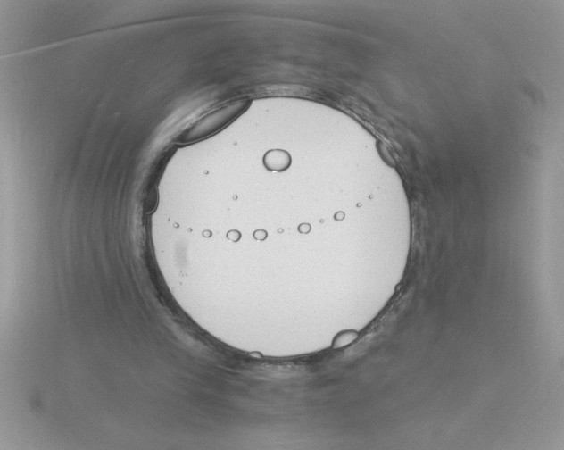 X0000115840245200912111339