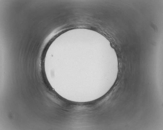 X0000115840246200912111339