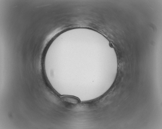 X0000115840248200912111339