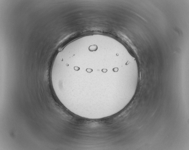 X0000115840249200912111339