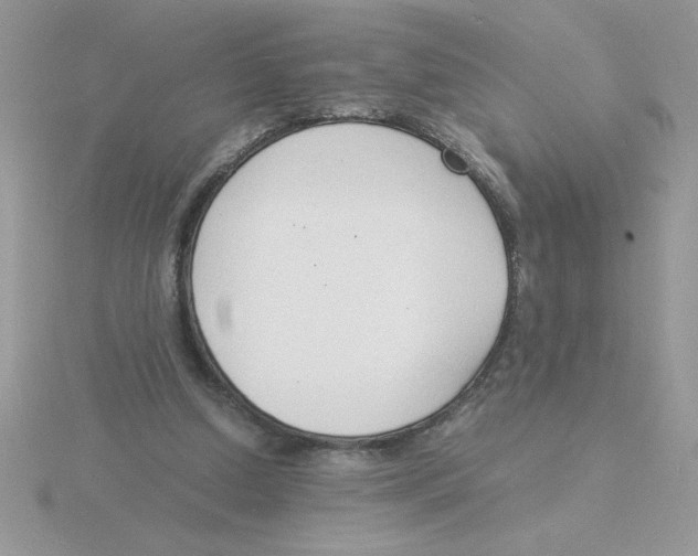 X0000115840250200912111339