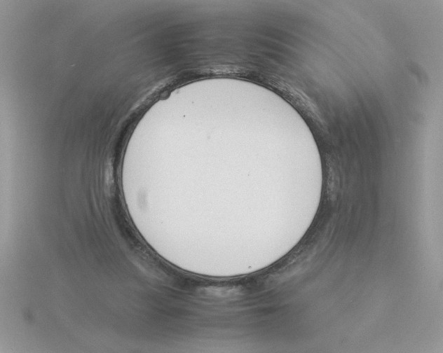 X0000115840251200912111339