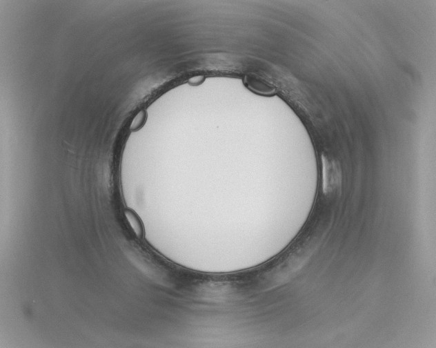 X0000115840252200912111339