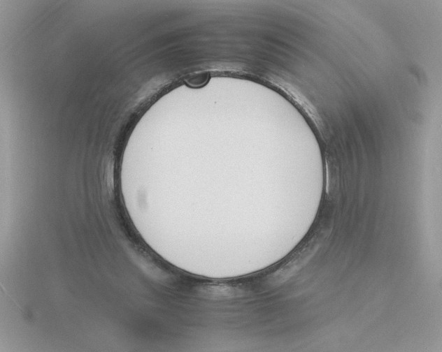 X0000115840253200912111339