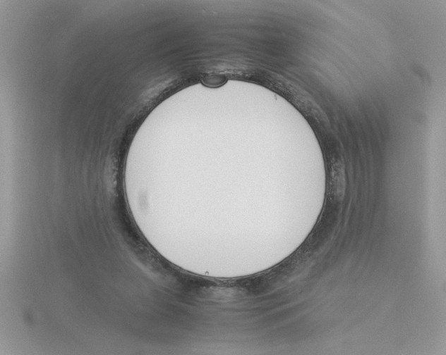 X0000115840255200912111339