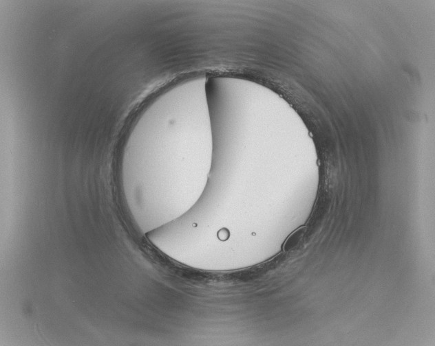 X0000115840256200912111339