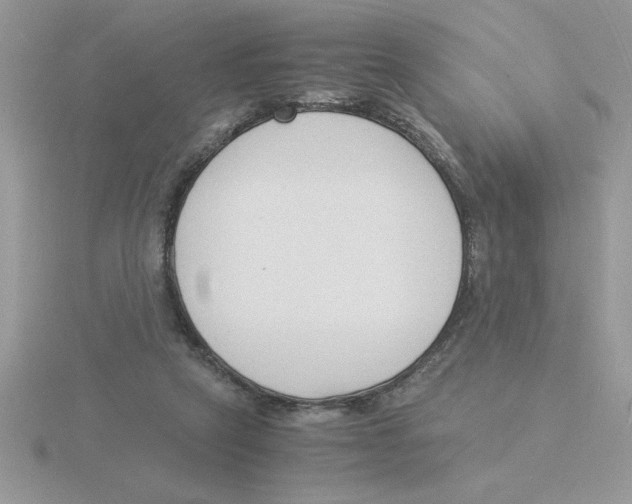 X0000115840257200912111339