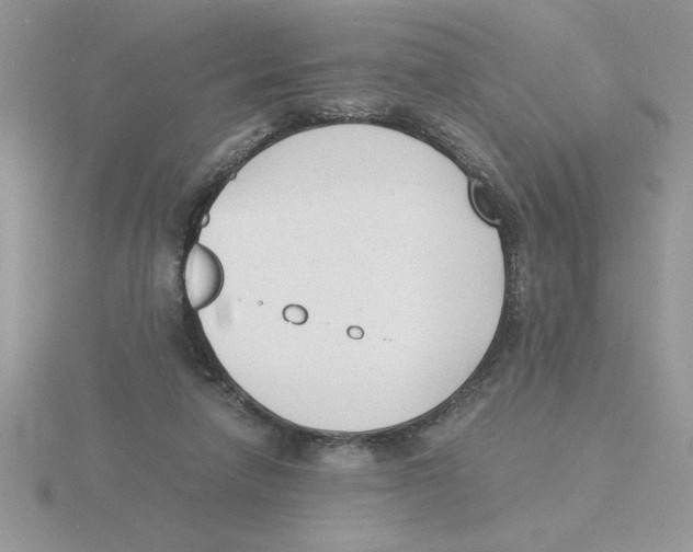 X0000115840258200912111339