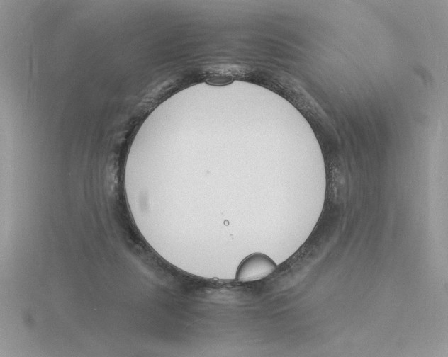 X0000115840259200912111339