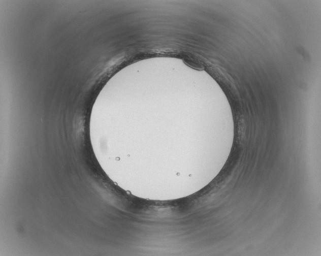 X0000115840260200912111339