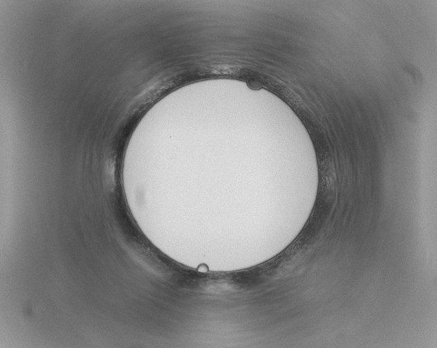 X0000115840262200912111339