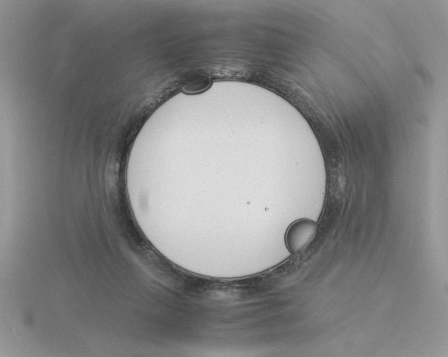 X0000115840263200912111339