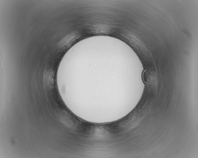 X0000115840264200912111339