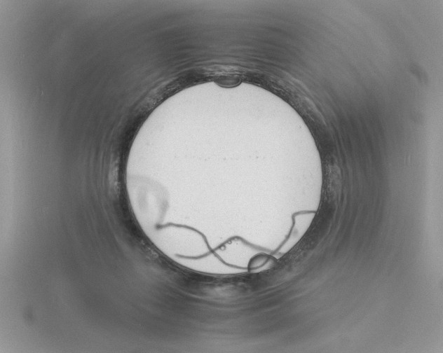 X0000115840267200912111339