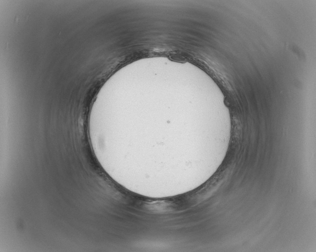 X0000115840269200912111339