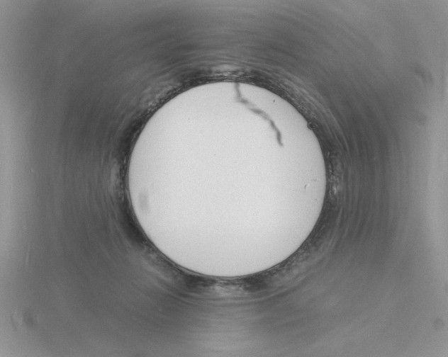 X0000115840270200912111339