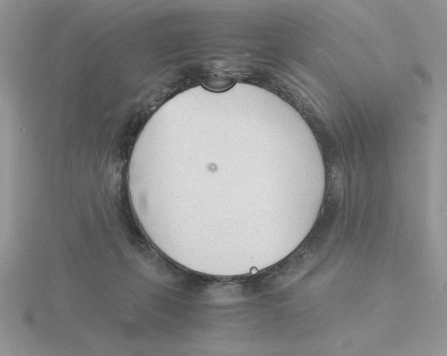 X0000115840271200912111339