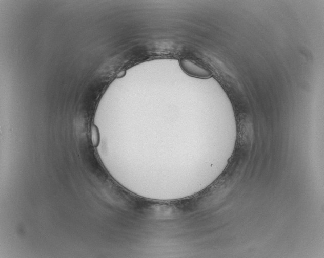 X0000115840272200912111339