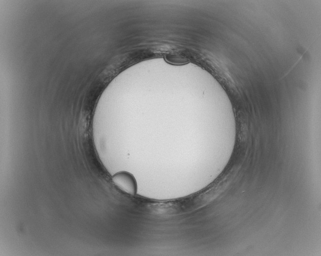 X0000115840273200912111339