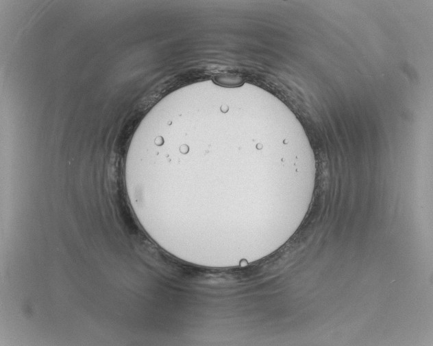 X0000115840275200912111339