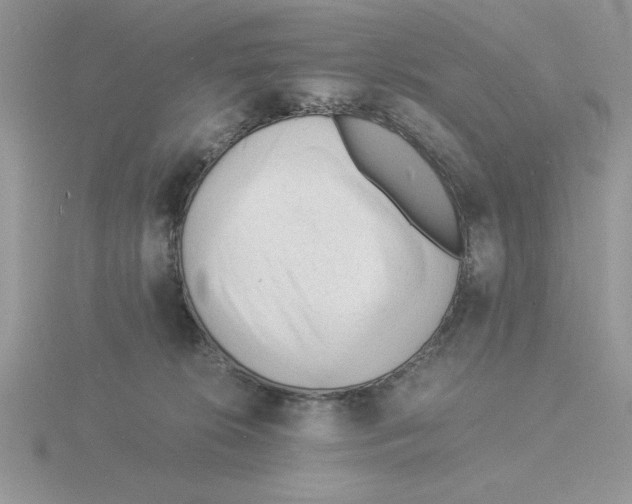 X0000115840276200912111339