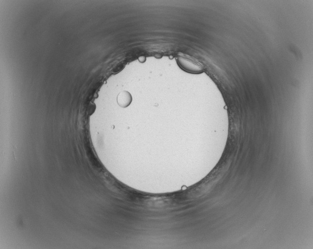 X0000115840277200912111339