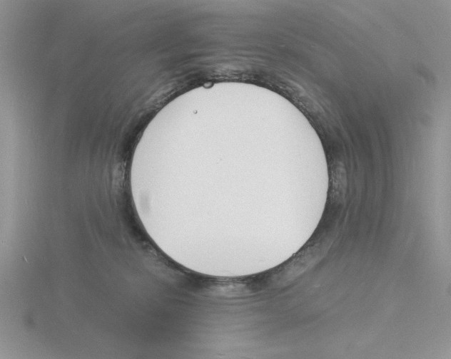 X0000115840278200912111339