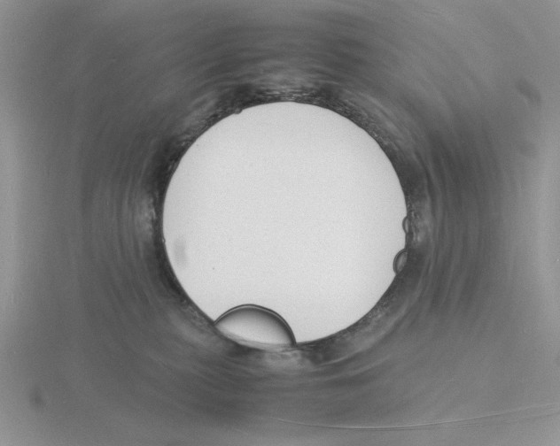 X0000115840279200912111339