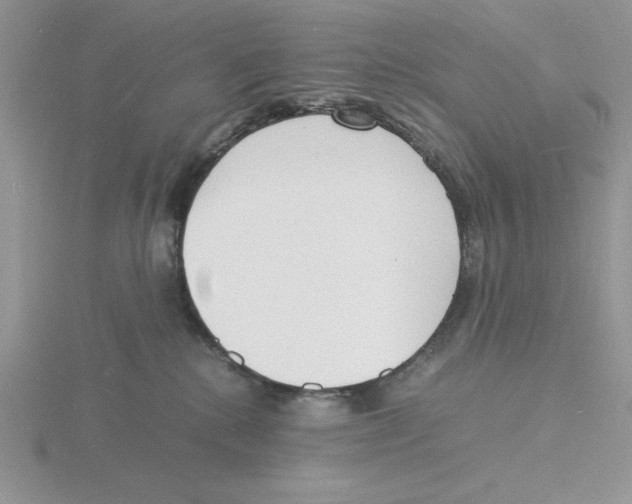 X0000115840280200912111339