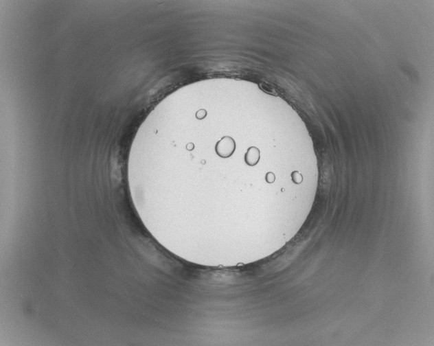 X0000115840282200912111339