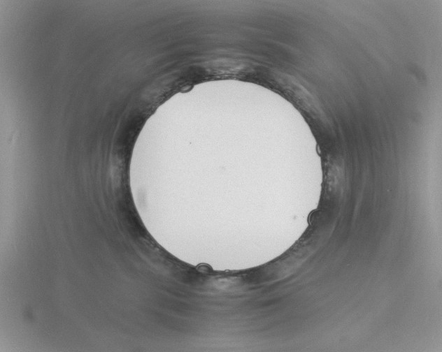 X0000115840283200912111339