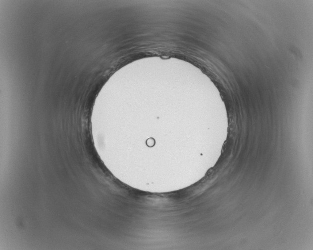 X0000115840284200912111339