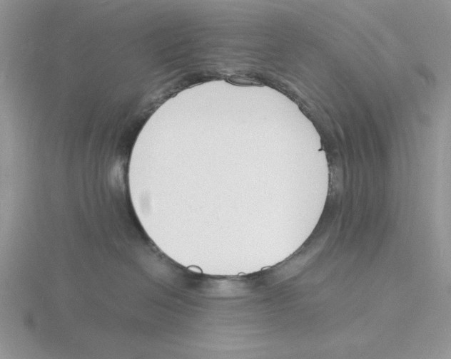 X0000115840286200912111339